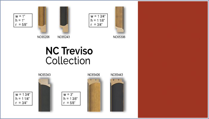 NC Treviso -- New From PFI